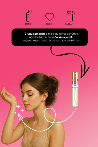 Me Mystic No2 Tutkunun Renkleri