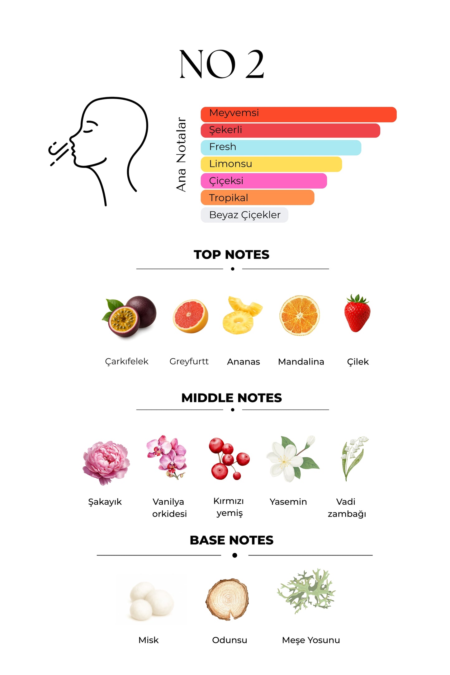 Me Mystic No2 Tutkunun Renkleri