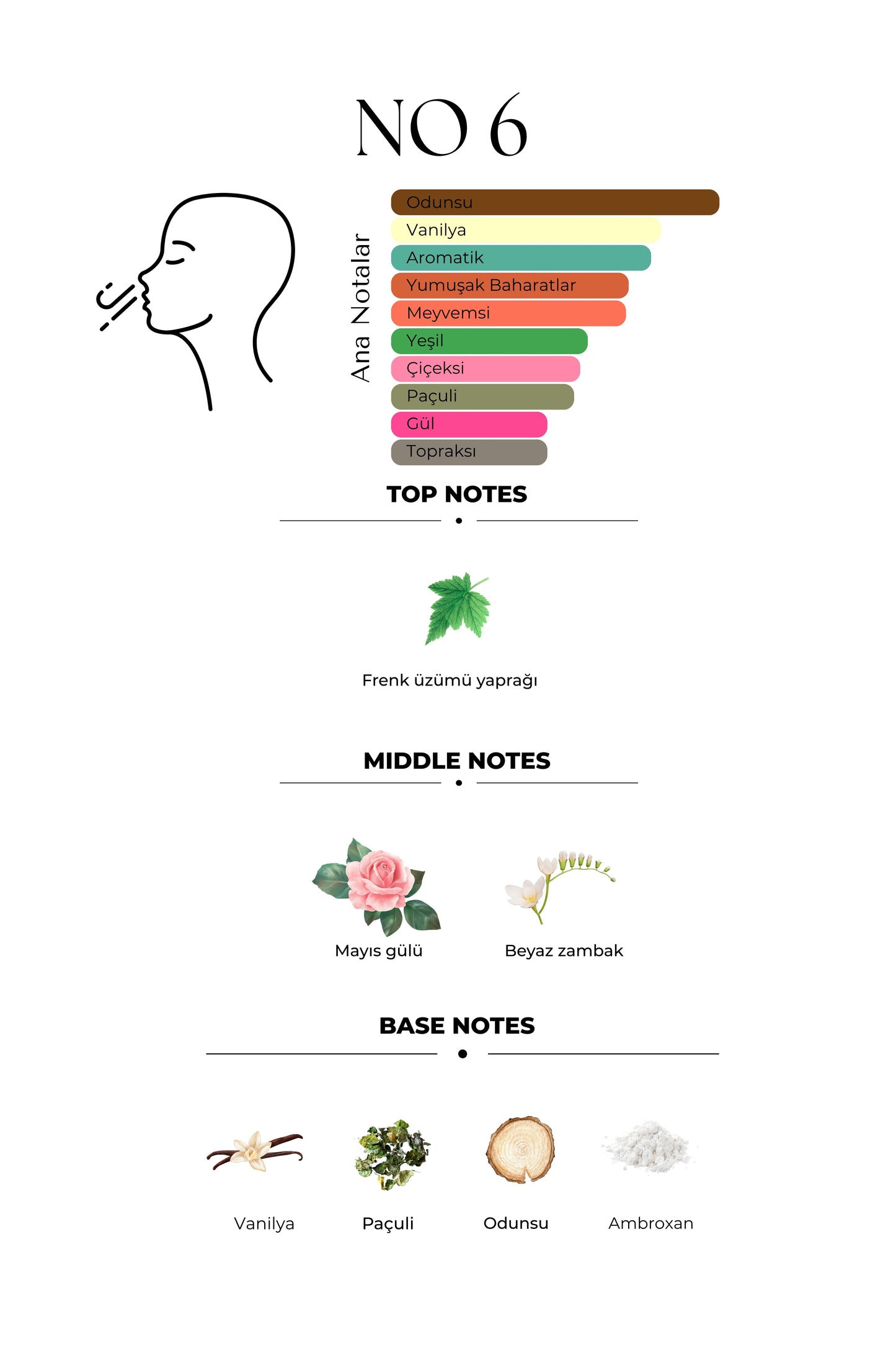 Me Mystic No6 Gecenin Kraliçesi